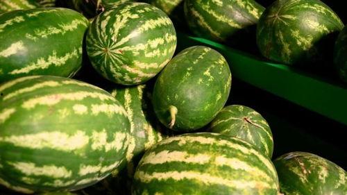 内蒙古网红吃瓜事件,揭秘网络舆论背后的真相