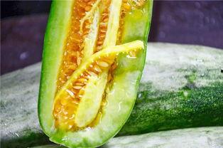 网红黑了吃瓜,揭秘网络舆论背后的真相