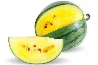 吃瓜必看百度网,揭秘百度网热门事件背后的真相