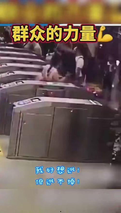 大众吃瓜热线最新官网,最新官网信息大汇总