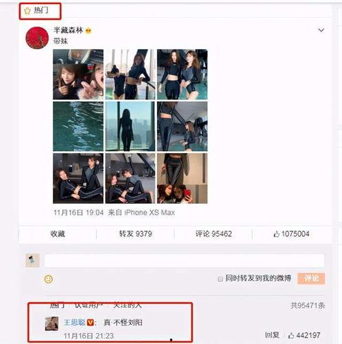 网红吃瓜头像软件,趣味互动，轻松打造个性潮流形象