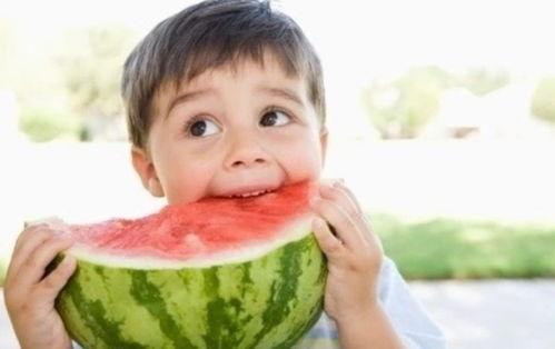 吃瓜云官网,一站式云端娱乐体验平台深度解析