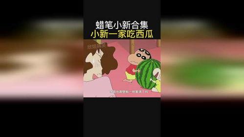 网红小新吃瓜