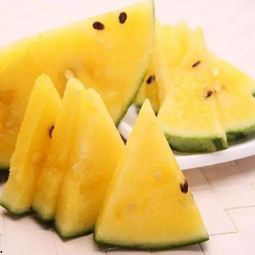 黑网料吃瓜网地址